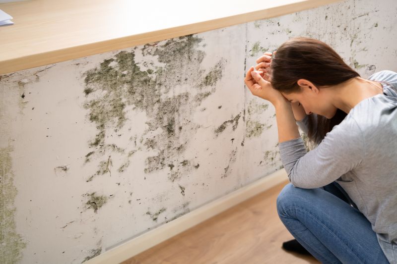 Attic Mold Removal in Jupiter, FL