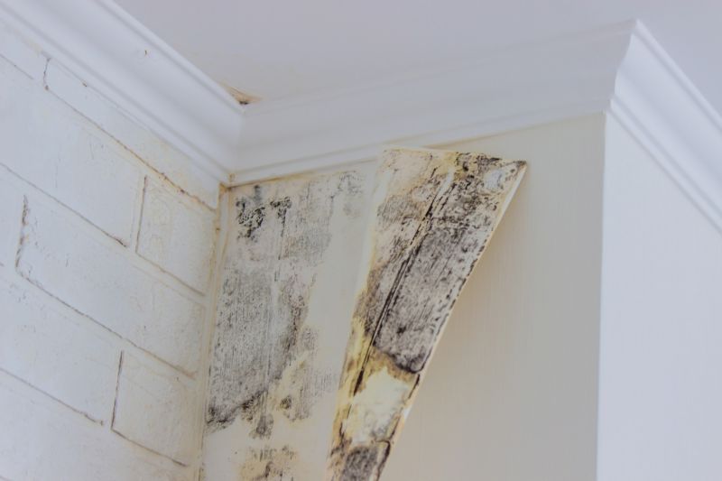 Basement Mold Remediation in Bergen County, NJ