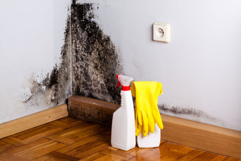 Basement Mold Remediation in Broward County, FL