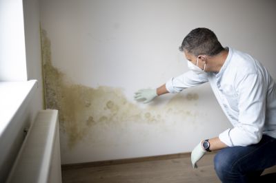 Basement Mold Remediation in Jupiter, FL