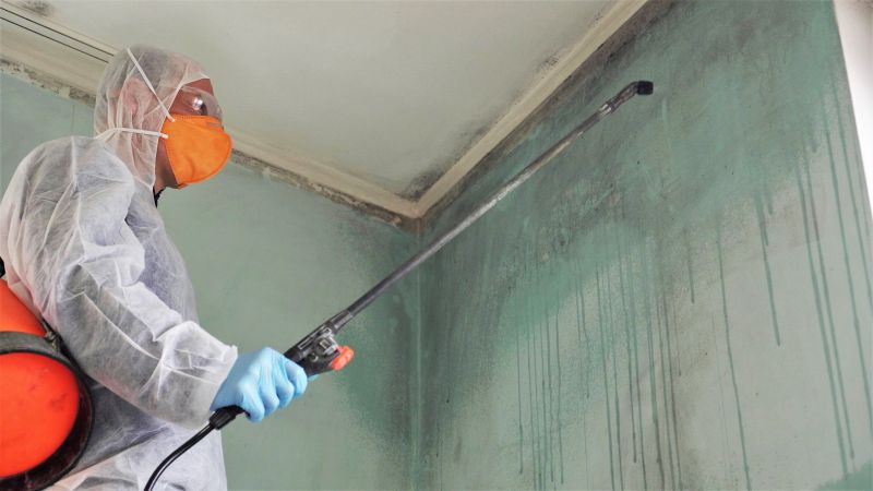 Black Mold Remediation in Boca Raton, FL