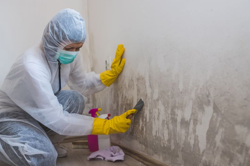 Crawlspace Mold Remediation in Jupiter, FL