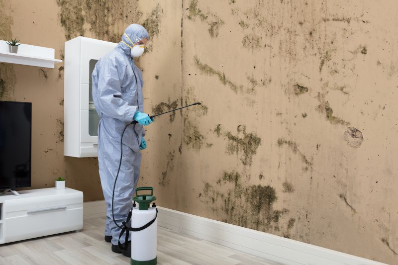 Mold Detection in Essex County, NJ