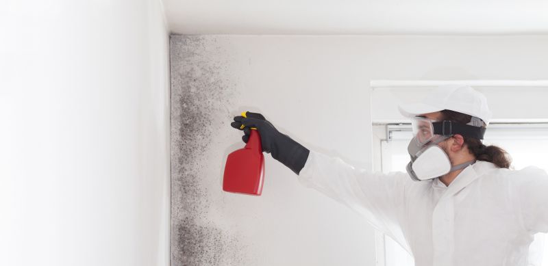 Mold Mitigation Service in Essex County, NJ