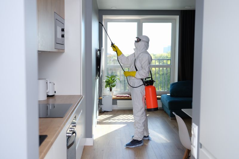 Mold Remediation Service in Frisco, TX