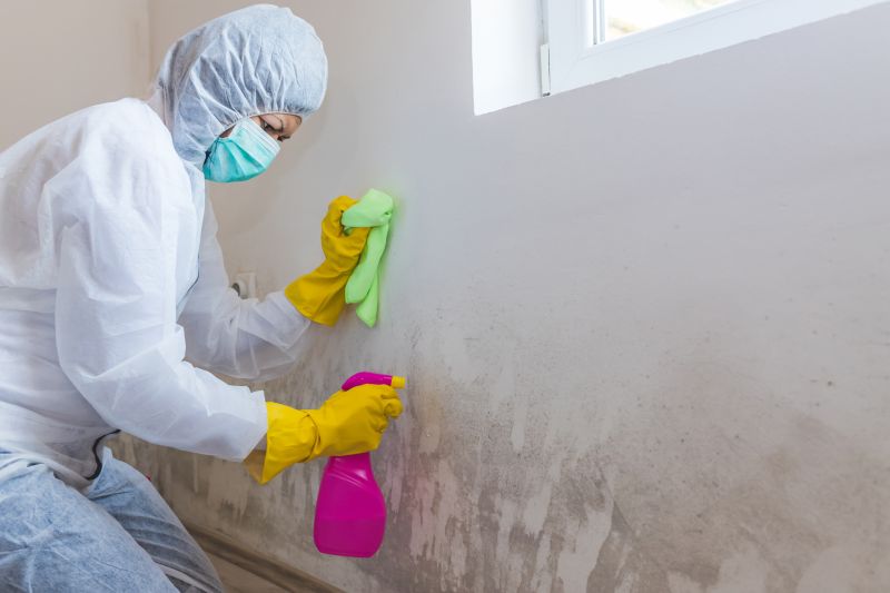 Mold Remediation Service in Dallas, TX