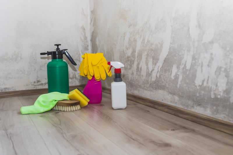 Mold Treatment Service in Fort Lauderdale, FL
