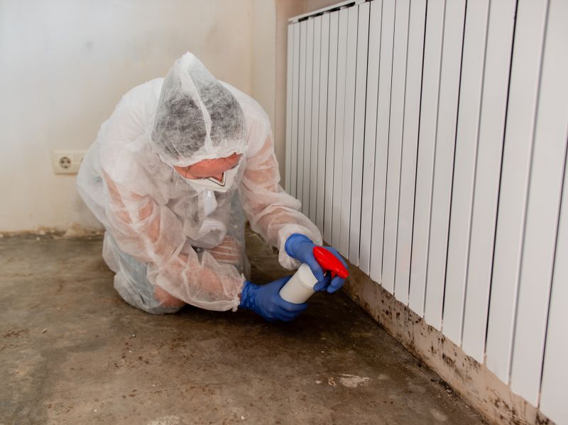 Air Duct Mold Removal in Jupiter, FL