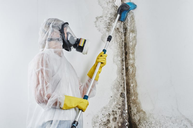 Air Duct Mold Removal in Fort Worth, TX
