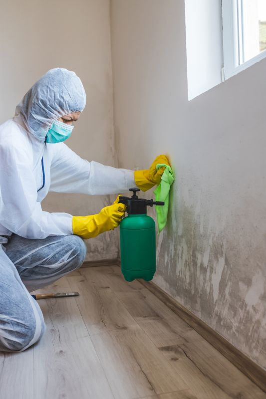 Attic Mold Removal in West Palm Beach, FL