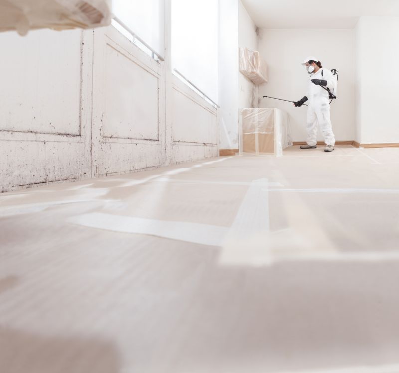 Crawl Space Mold Removal in Boca Raton, FL
