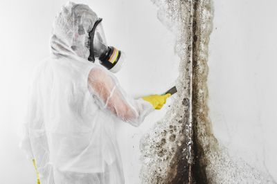 Mold Remediation Service in Broward County, FL